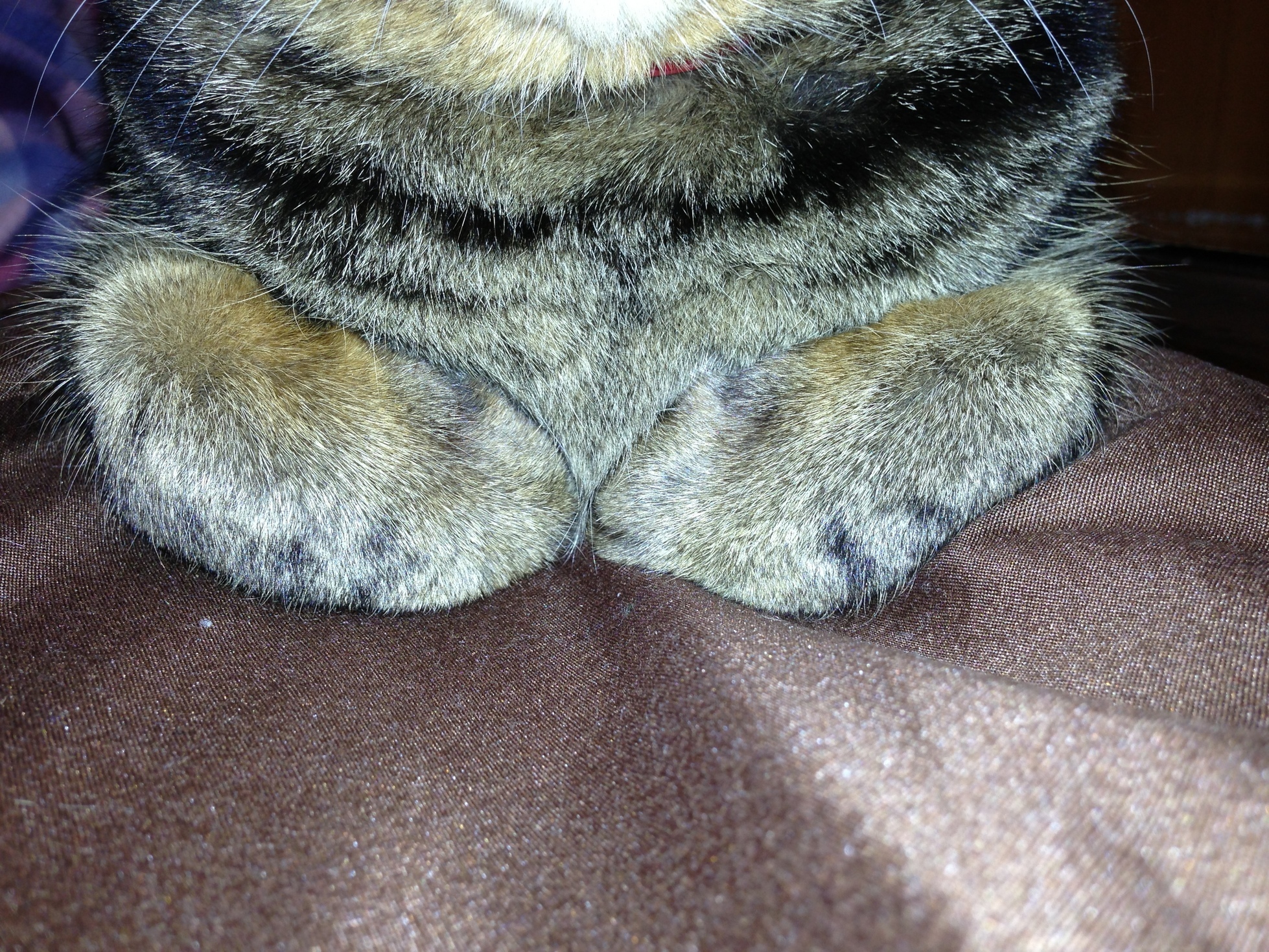 �A�����W���R���݁u�ɂ�񁙃n�E�X�v�g������Ȃ�