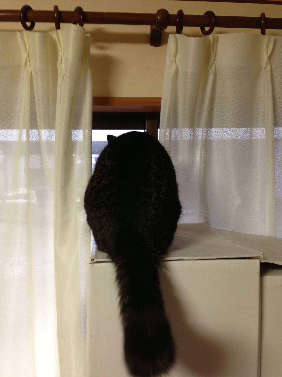 �A�����W���R���݁u�ɂ�񁙃n�E�X�v�g������Ȃ�