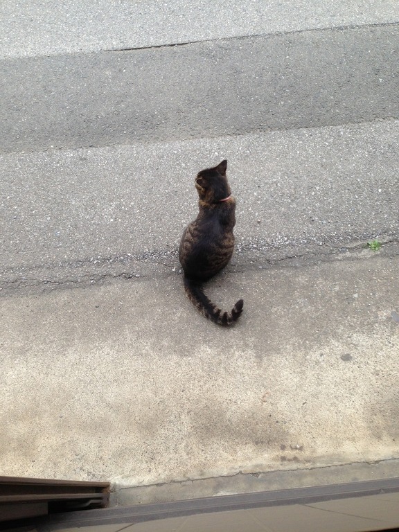 �A�����W���R���݁u�ɂ�񁙃n�E�X�v�g������Ȃ�