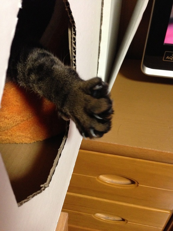 �A�����W���R���݁u�ɂ�񁙃n�E�X�v�g������Ȃ�