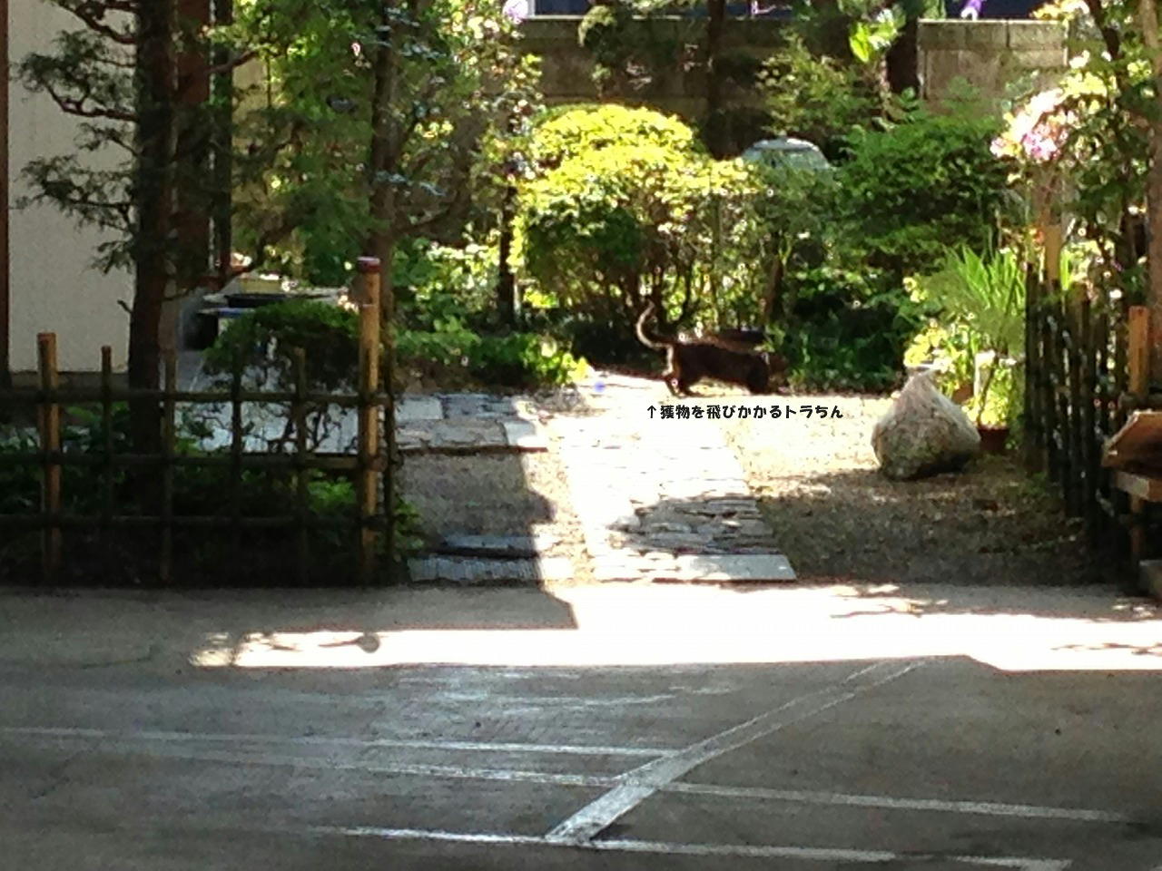 �A�����W���R���݁u�ɂ�񁙃n�E�X�v�g������Ȃ�