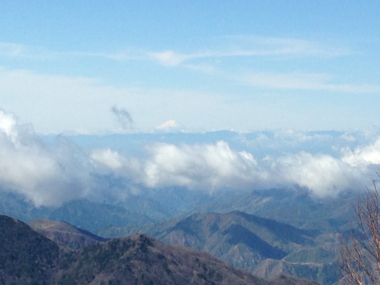 �A�����W���R���݁u�ɂ�񁙃n�E�X�v�g������Ȃ�