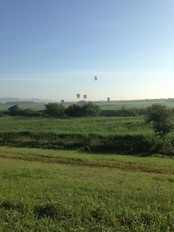 �A�����W���R���݁u�ɂ�񁙃n�E�X�v�g������Ȃ�