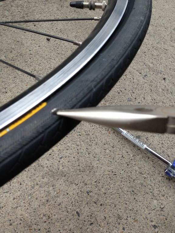 �A�����W���R���݁u�ɂ�񁙃n�E�X�v�g������Ȃ�