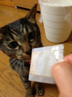 �A�����W���R���݁u�ɂ�񁙃n�E�X�v�g������Ȃ�