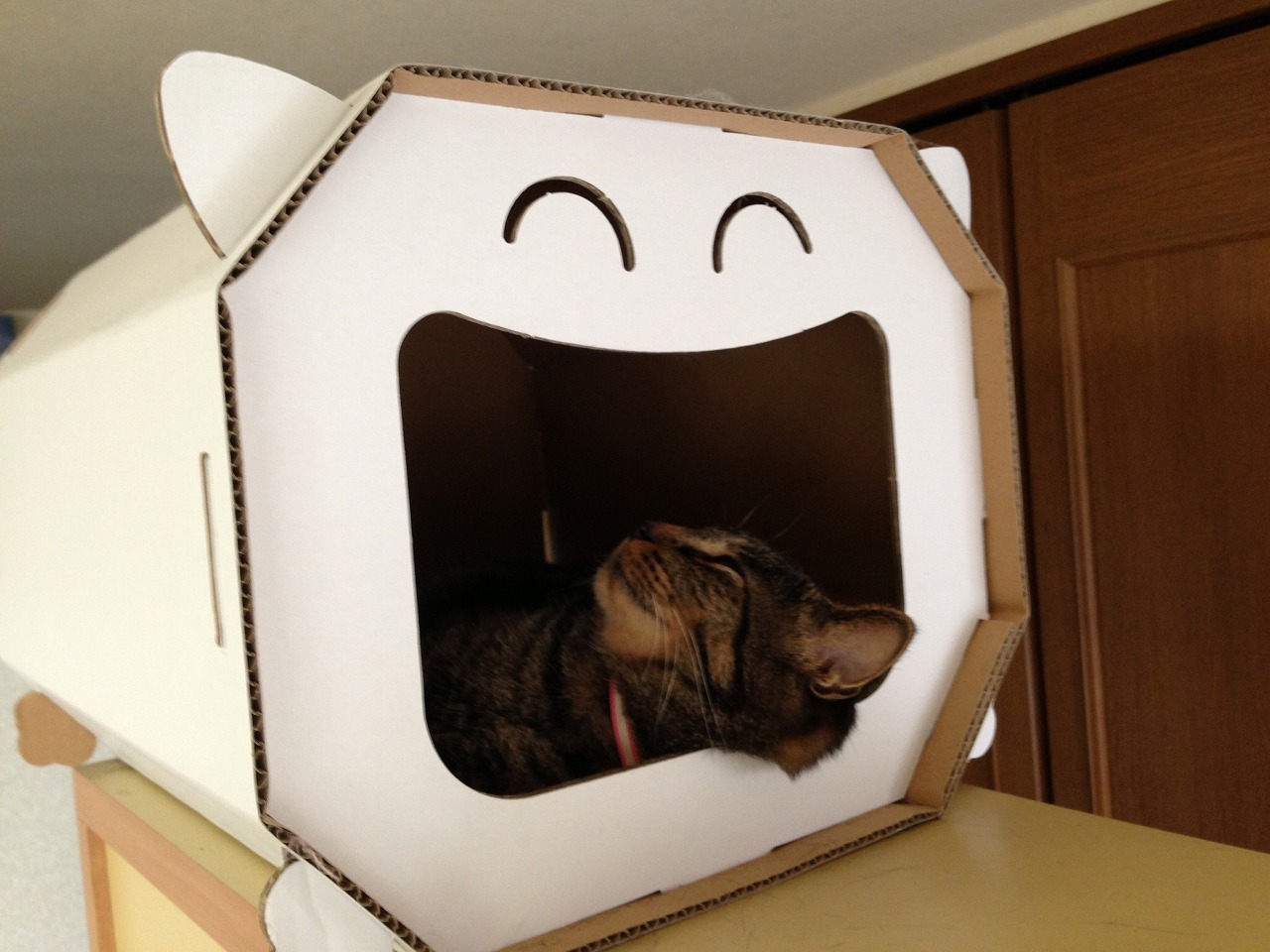 �A�����W���R���݁u�ɂ�񁙃n�E�X�v�g������Ȃ�