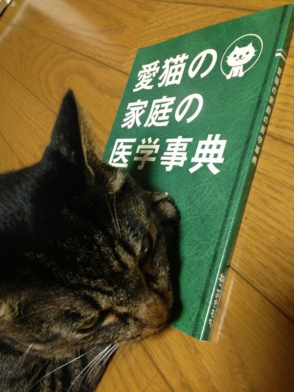 �A�����W���R���݁u�ɂ�񁙃n�E�X�v�g������Ȃ�