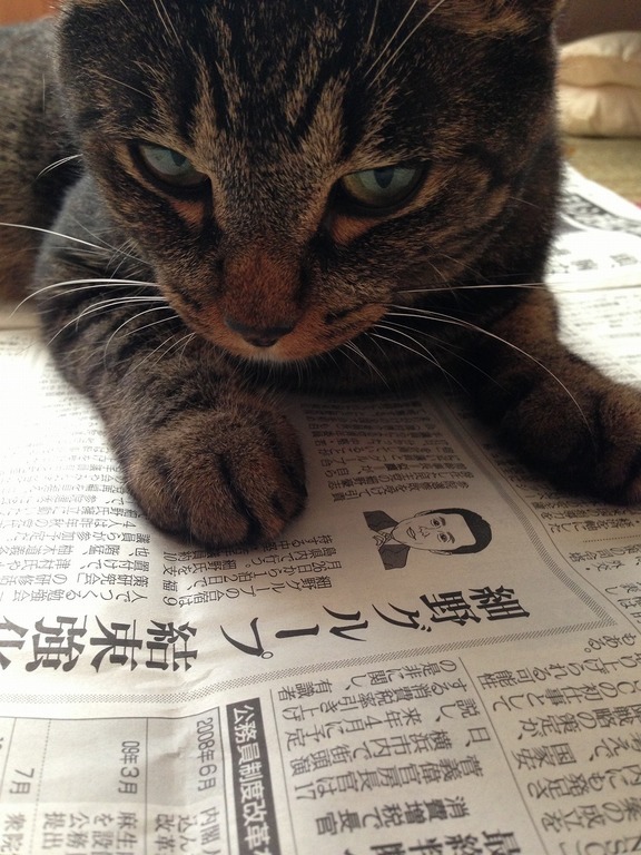 �A�����W���R���݁u�ɂ�񁙃n�E�X�v�g������Ȃ�