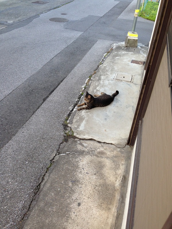 �A�����W���R���݁u�ɂ�񁙃n�E�X�v�g������Ȃ�