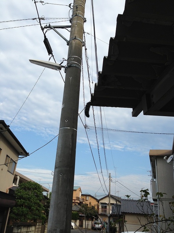 �A�����W���R���݁u�ɂ�񁙃n�E�X�v�g������Ȃ�