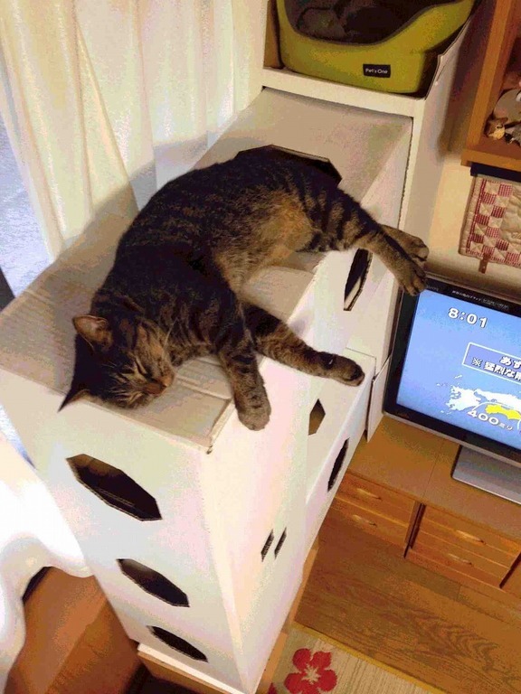 �A�����W���R���݁u�ɂ�񁙃n�E�X�v�g������Ȃ�