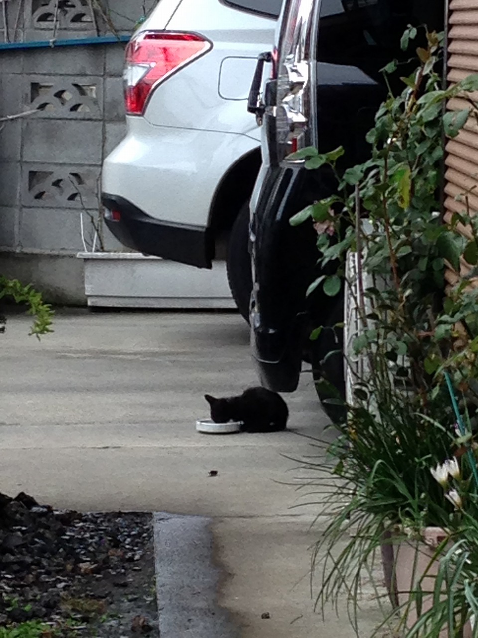 �A�����W���R���݁u�ɂ�񁙃n�E�X�v�g������Ȃ�