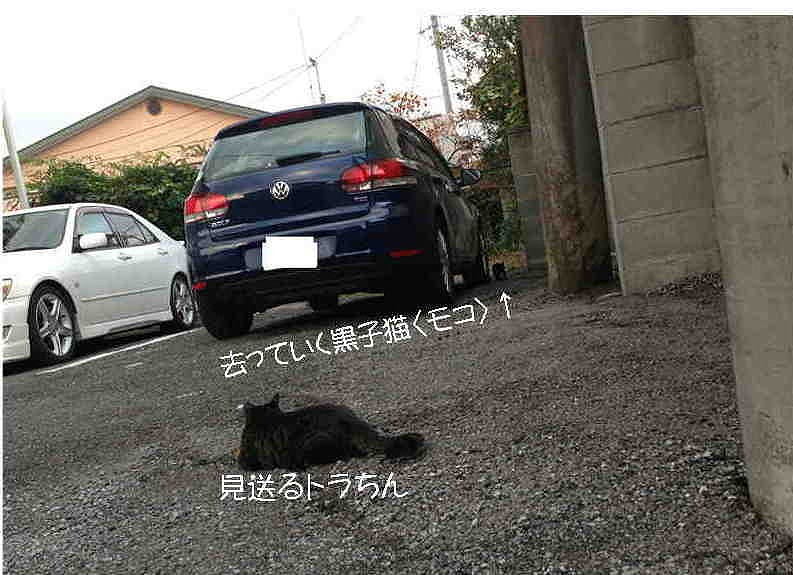 �A�����W���R���݁u�ɂ�񁙃n�E�X�v�g������Ȃ�