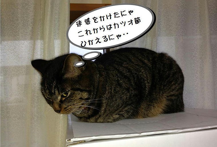 �A�����W���R���݁u�ɂ�񁙃n�E�X�v�g������Ȃ�