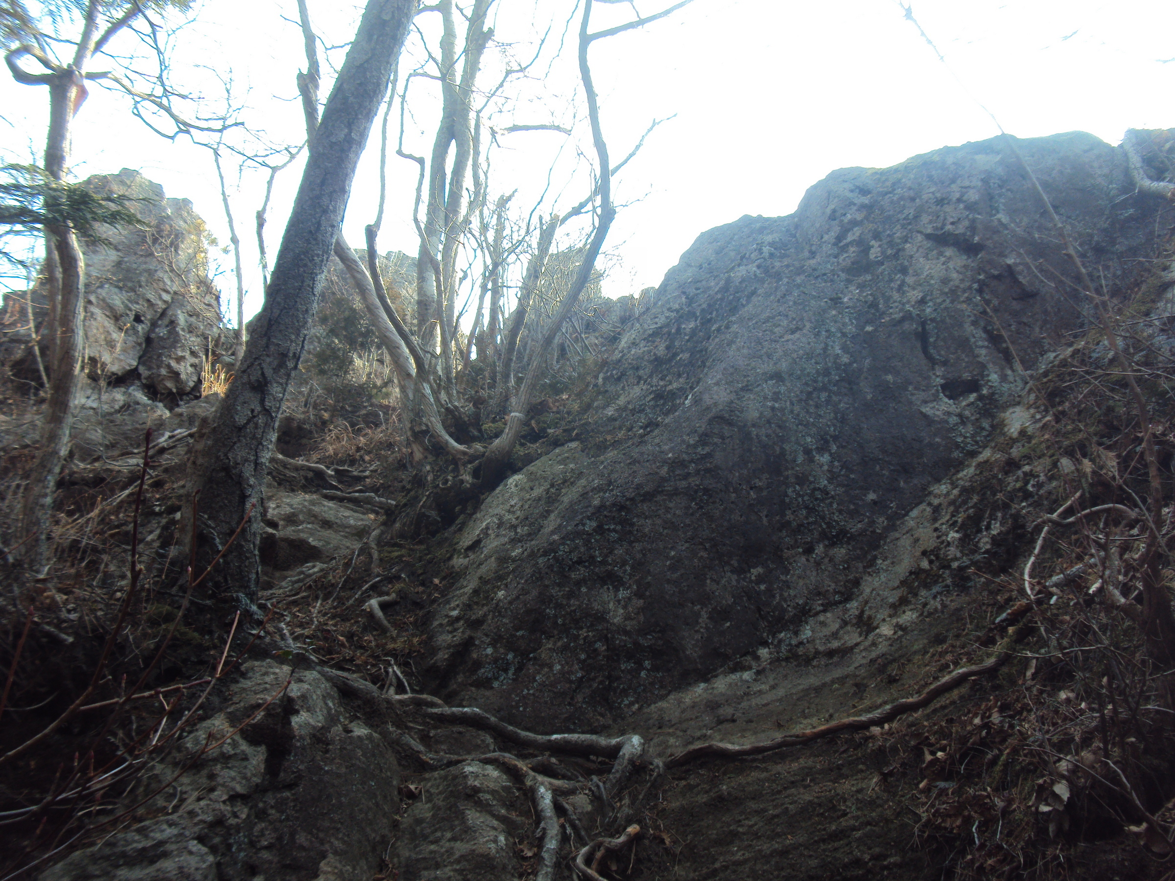 �J�ɂ����������ɂ��������E���̊X�Ȗ�