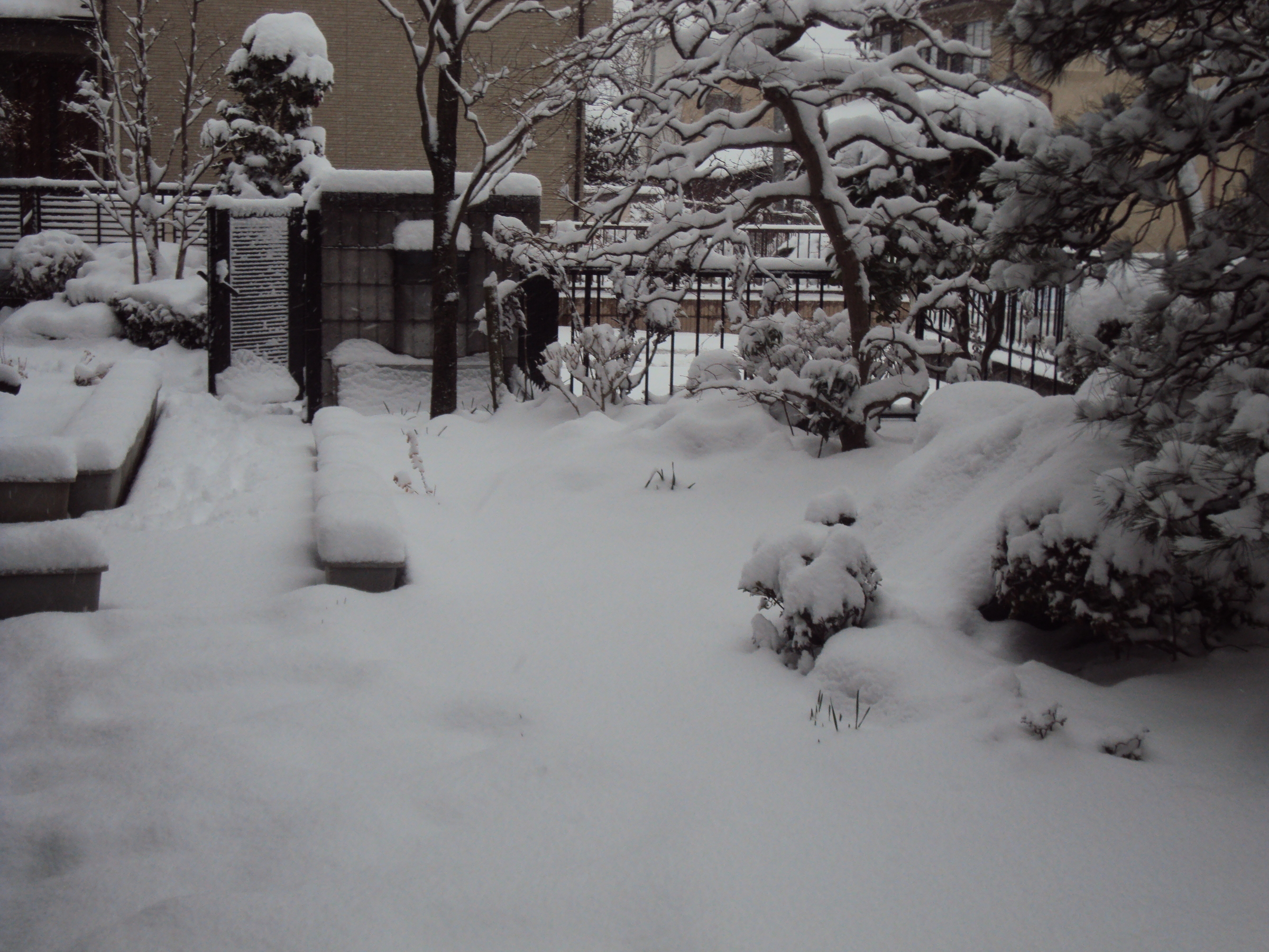 �J�ɂ����������ɂ��������E���̊X�Ȗ�