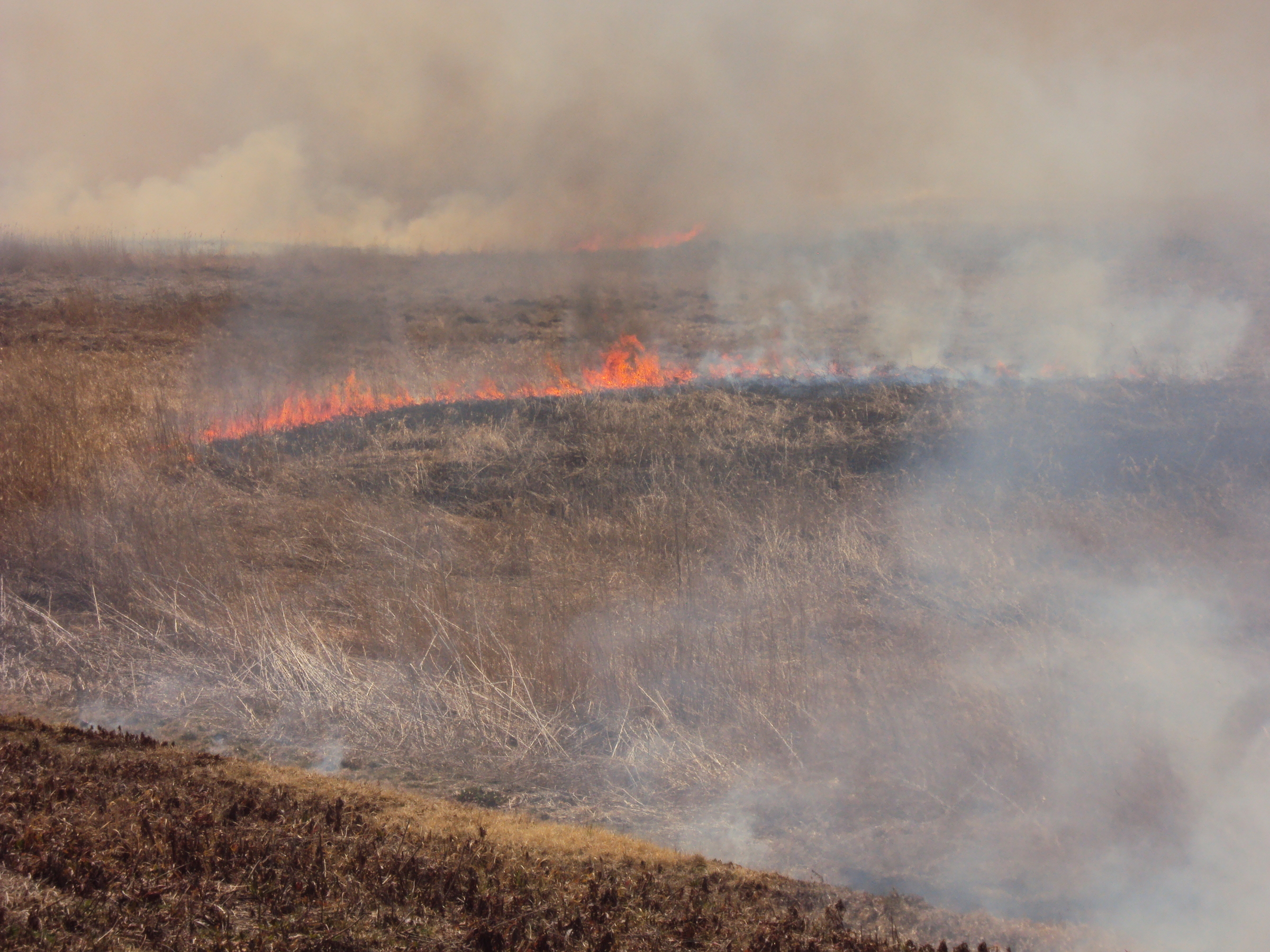 �J�ɂ����������ɂ��������E���̊X�Ȗ�