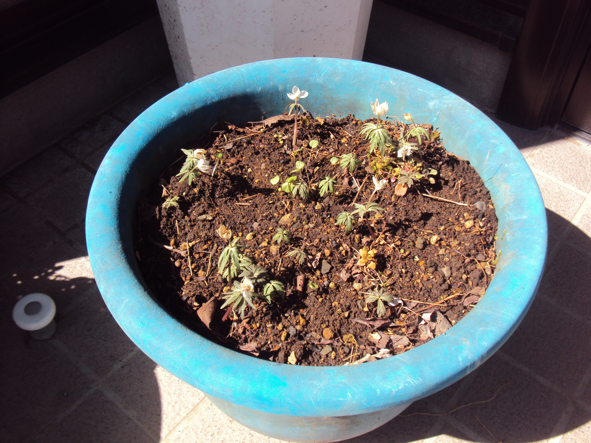 �J�ɂ����������ɂ��������E���̊X�Ȗ�