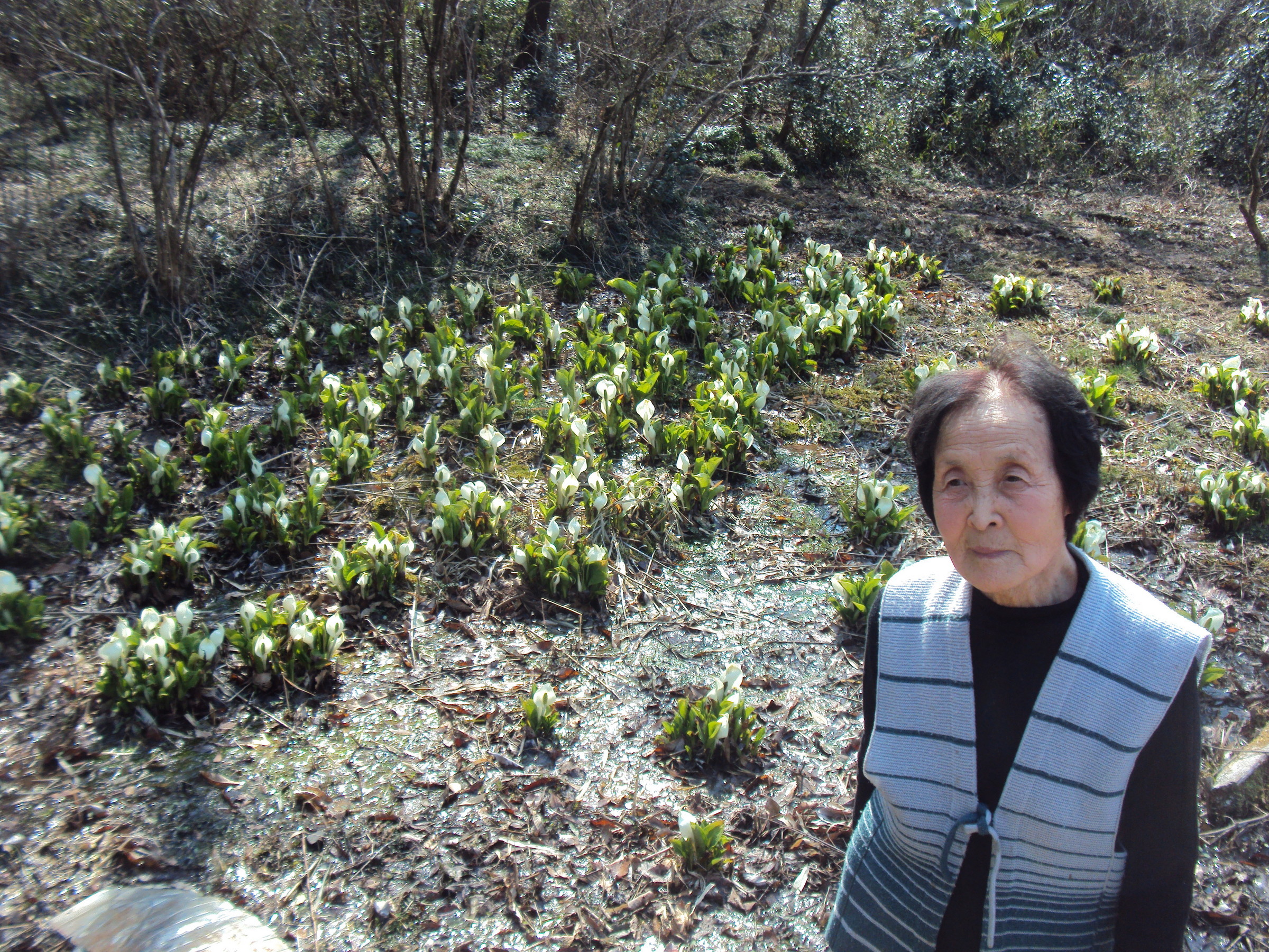 �J�ɂ����������ɂ��������E���̊X�Ȗ�