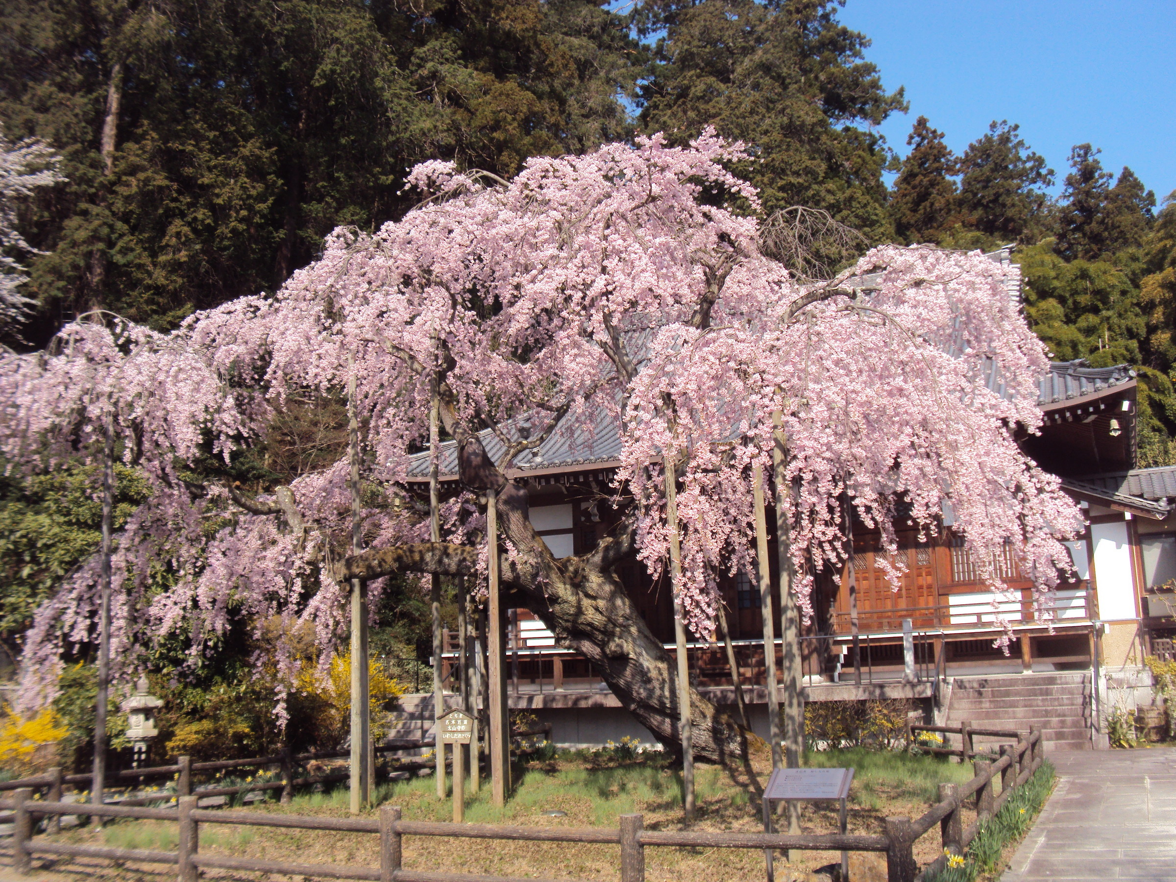 �J�ɂ����������ɂ��������E���̊X�Ȗ�