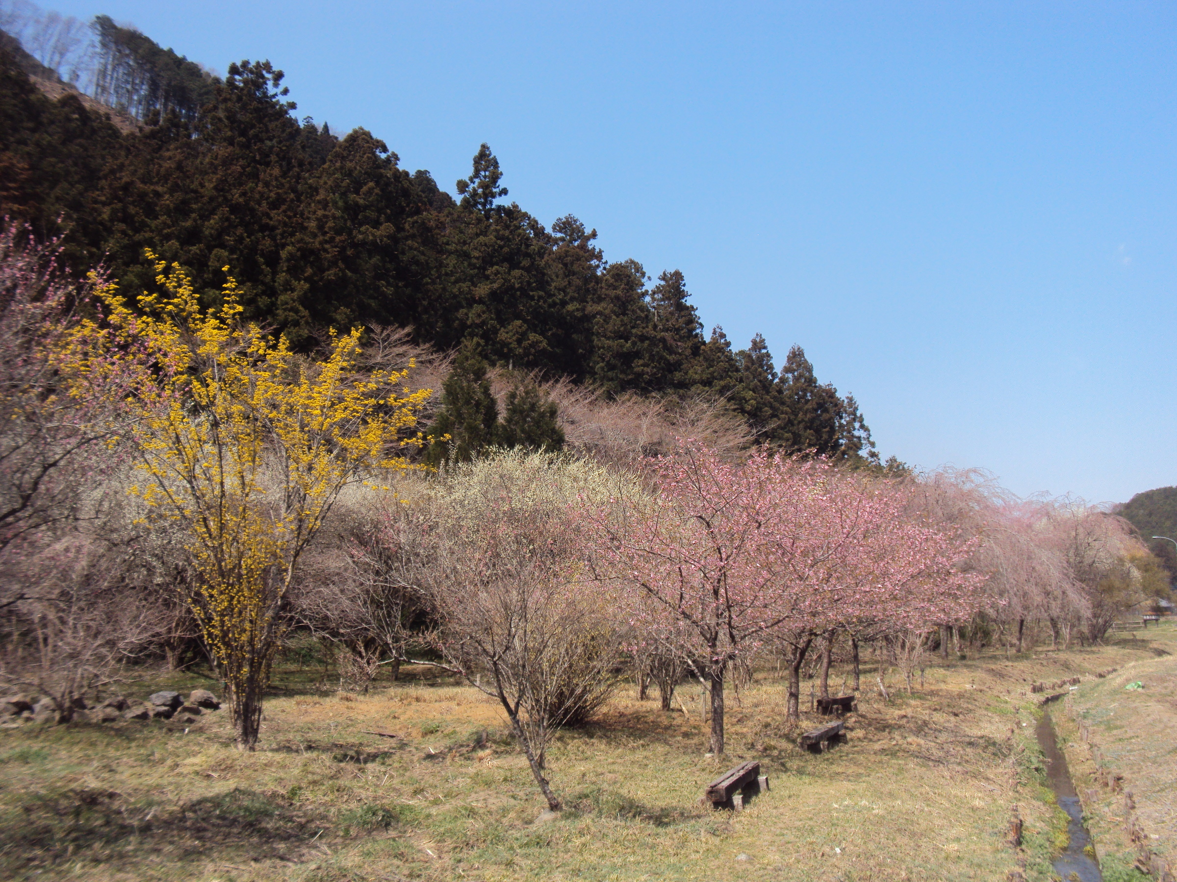 �J�ɂ����������ɂ��������E���̊X�Ȗ�