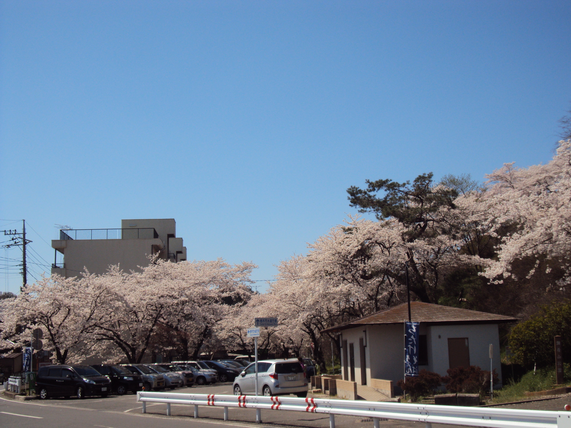 �J�ɂ����������ɂ��������E���̊X�Ȗ�