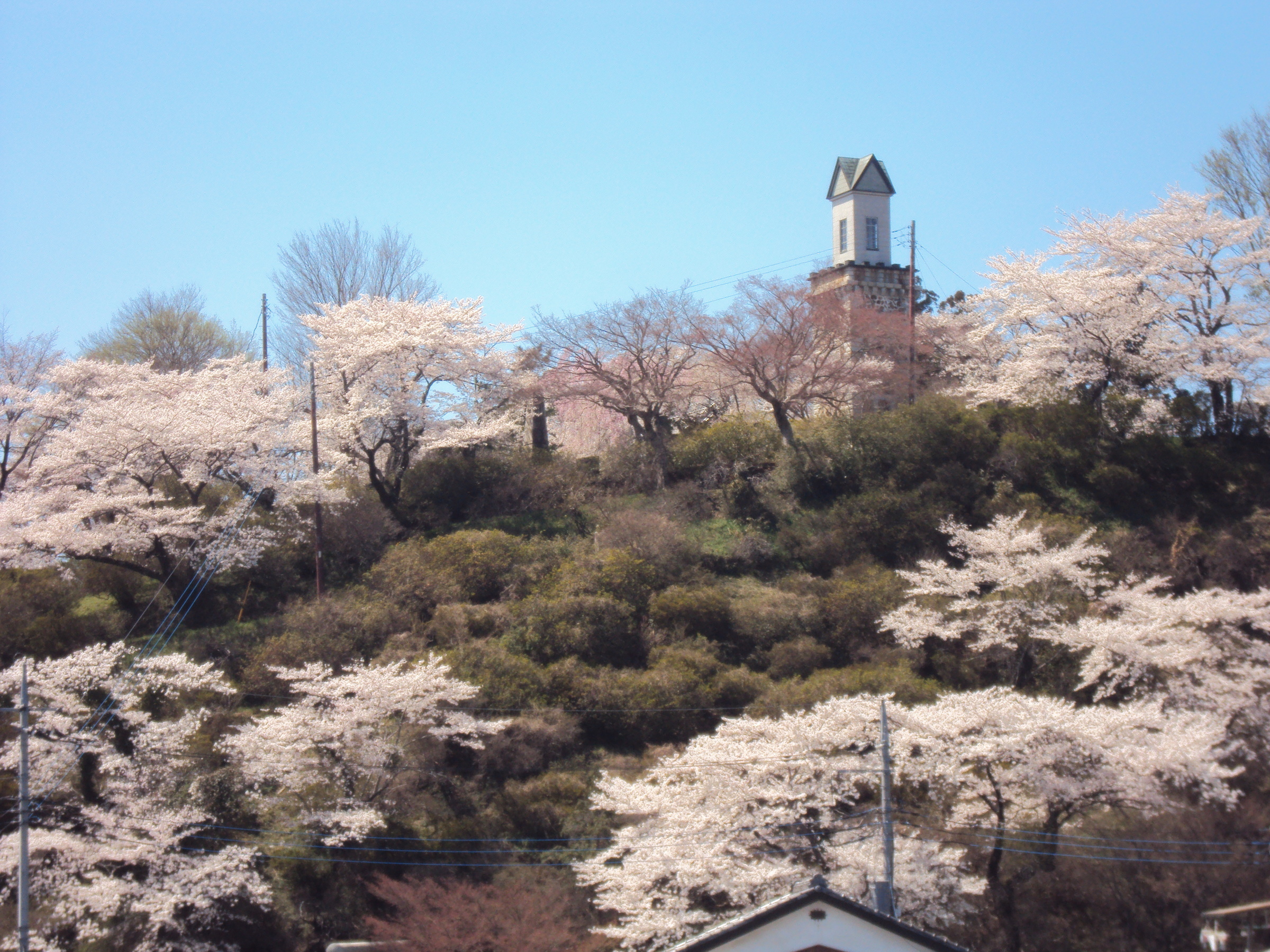 �J�ɂ����������ɂ��������E���̊X�Ȗ�