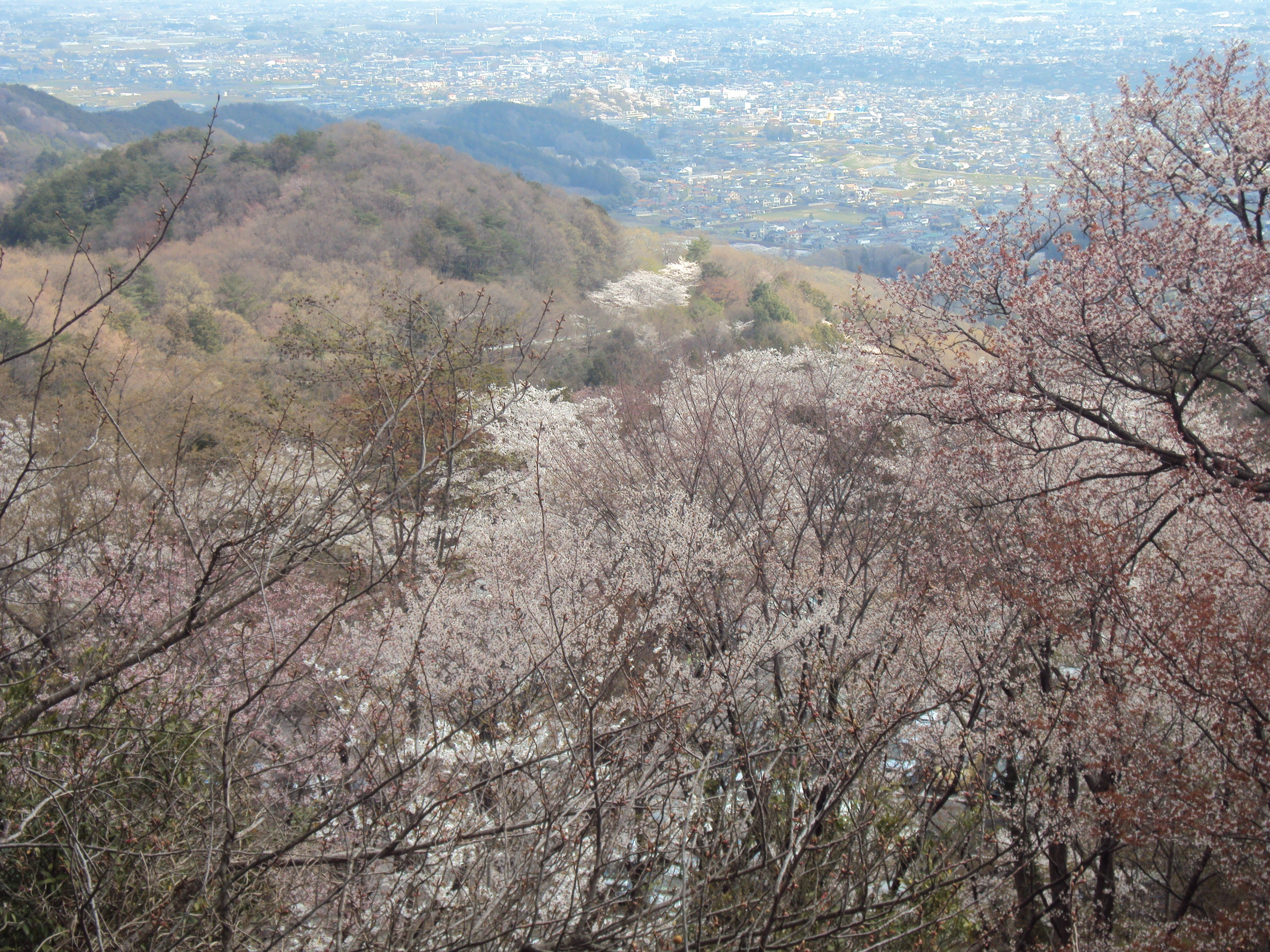 �J�ɂ����������ɂ��������E���̊X�Ȗ�