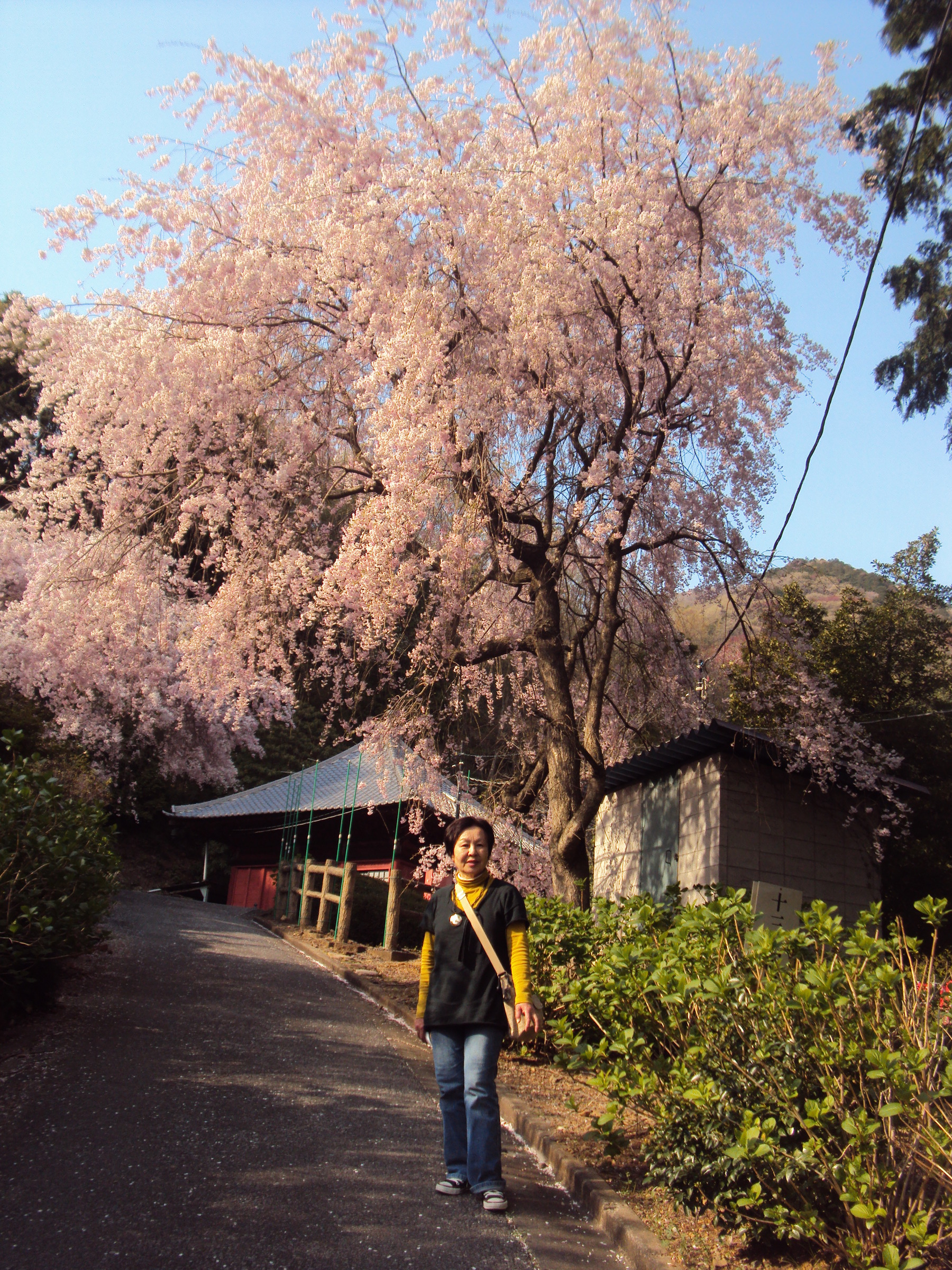 �J�ɂ����������ɂ��������E���̊X�Ȗ�