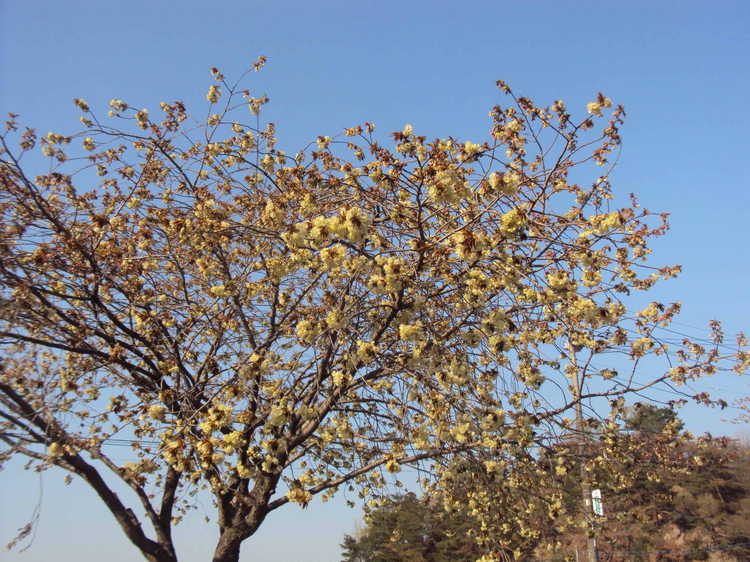 �J�ɂ����������ɂ��������E���̊X�Ȗ�