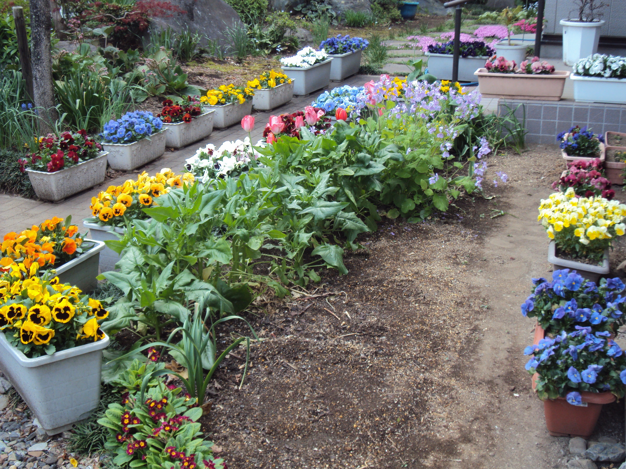 �J�ɂ����������ɂ��������E���̊X�Ȗ�