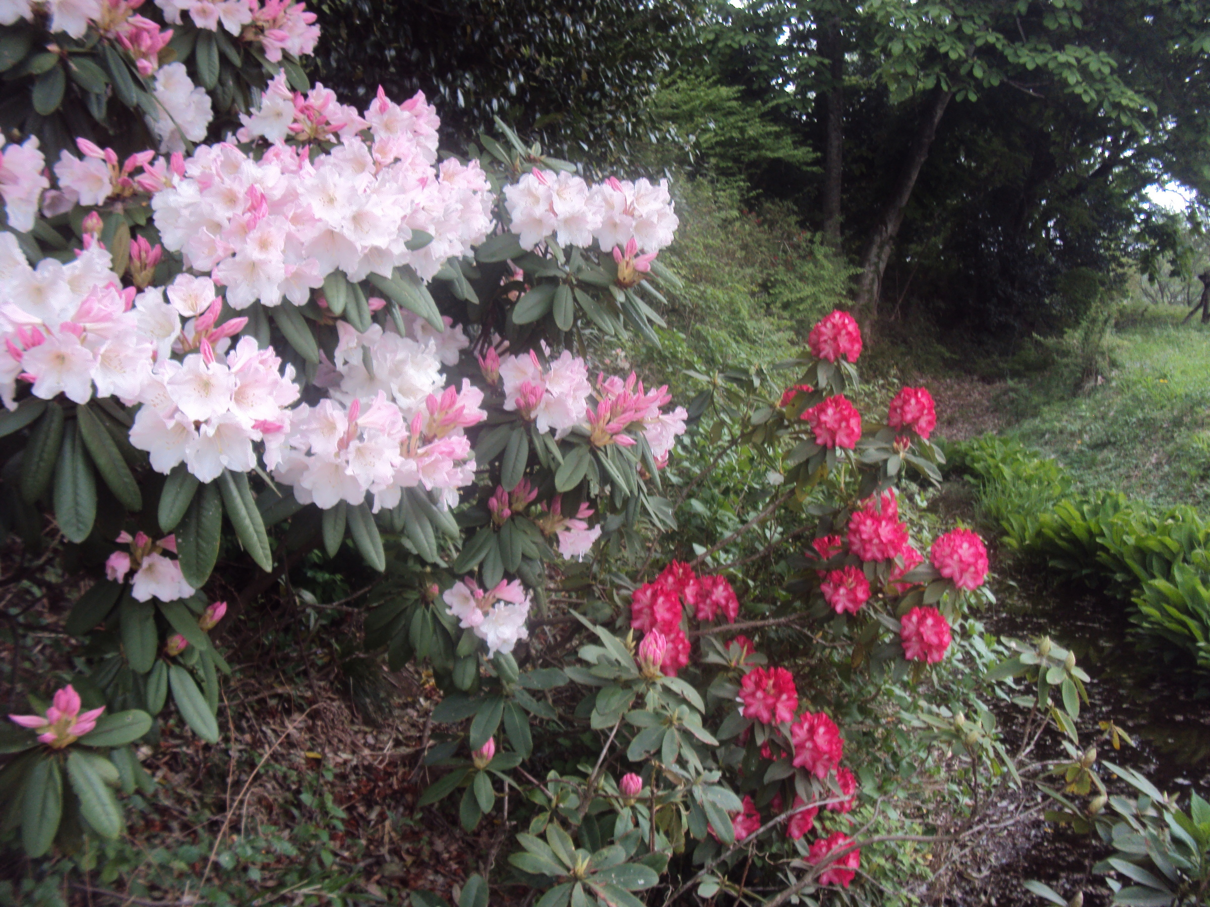 �J�ɂ����������ɂ��������E���̊X�Ȗ�