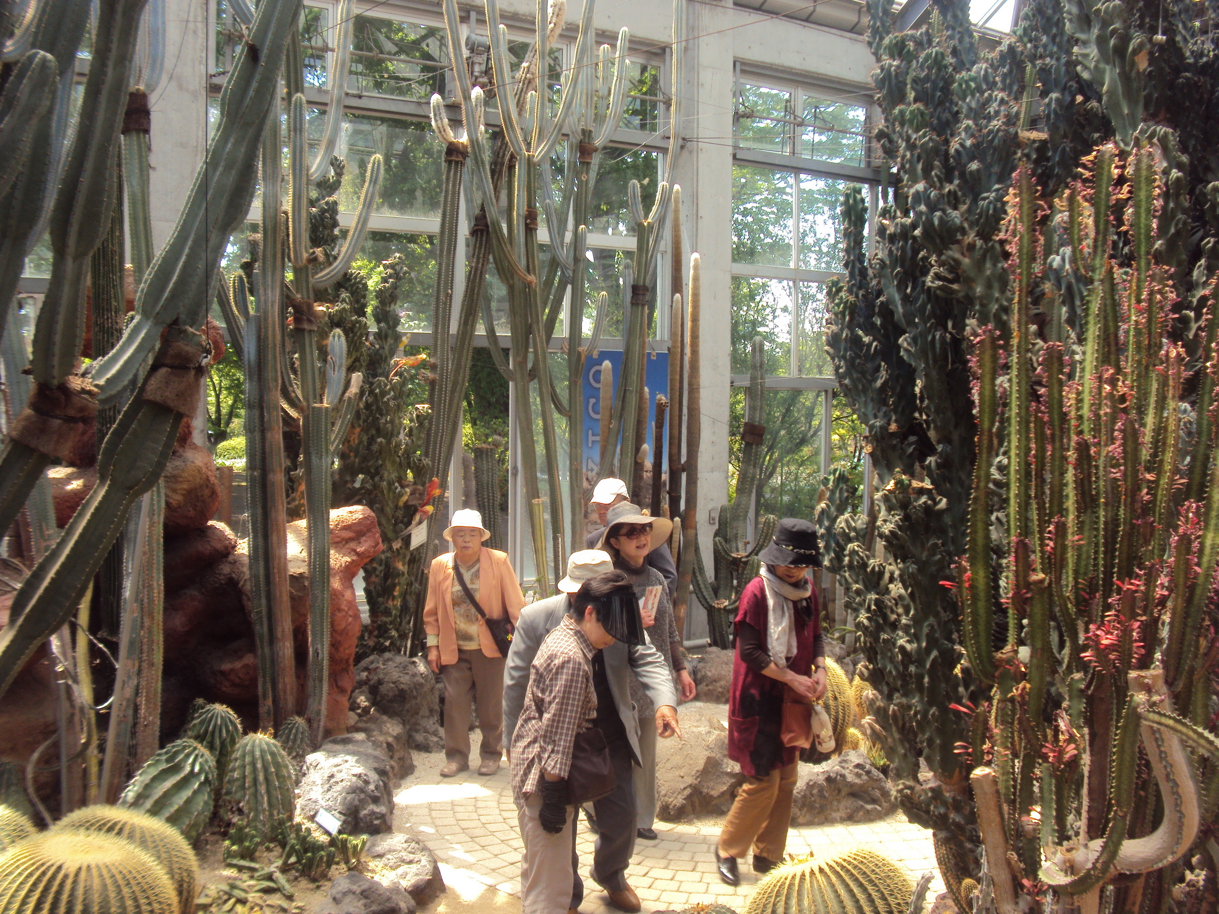 �J�ɂ����������ɂ��������E���̊X�Ȗ�