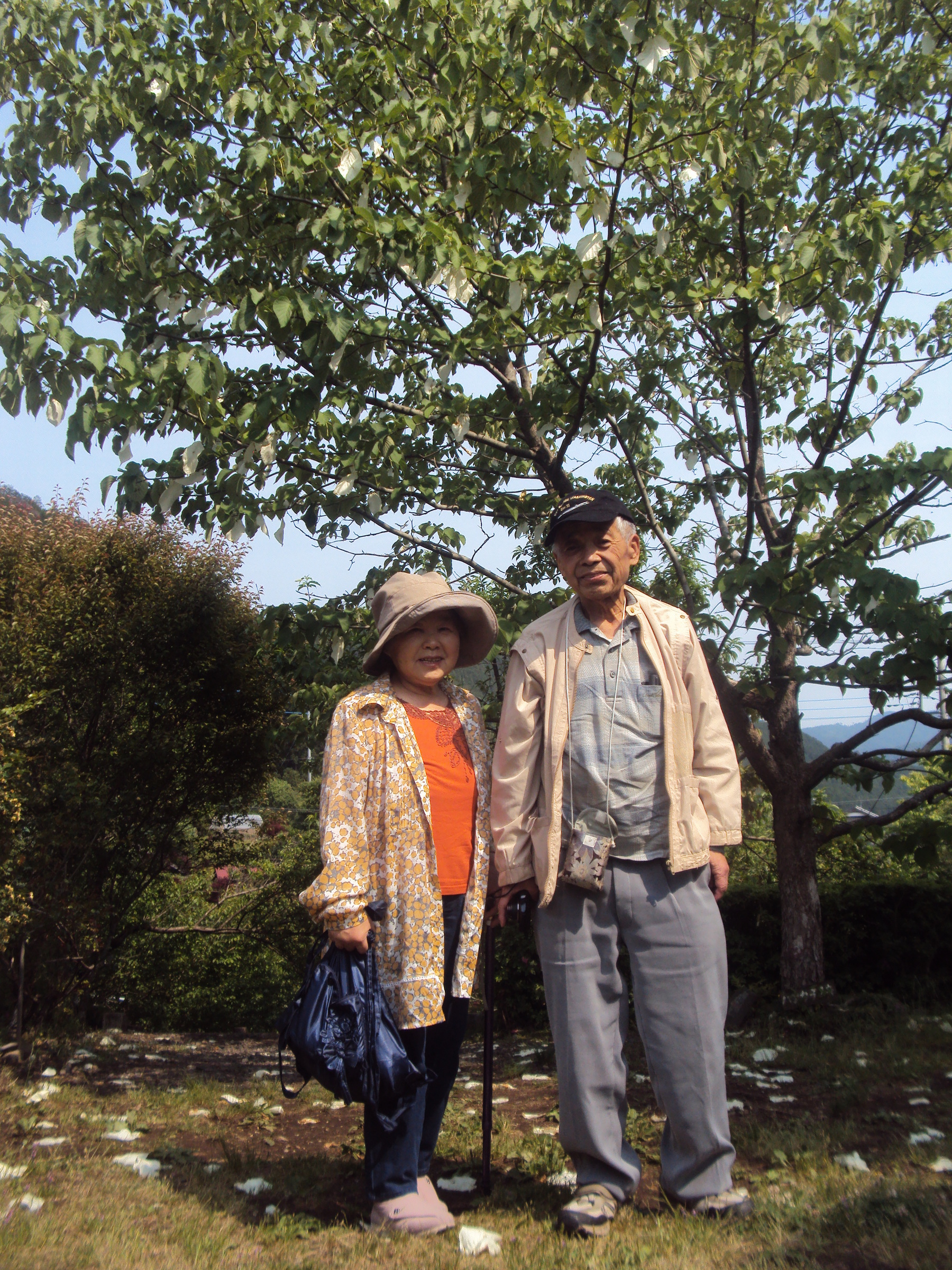 �J�ɂ����������ɂ��������E���̊X�Ȗ�