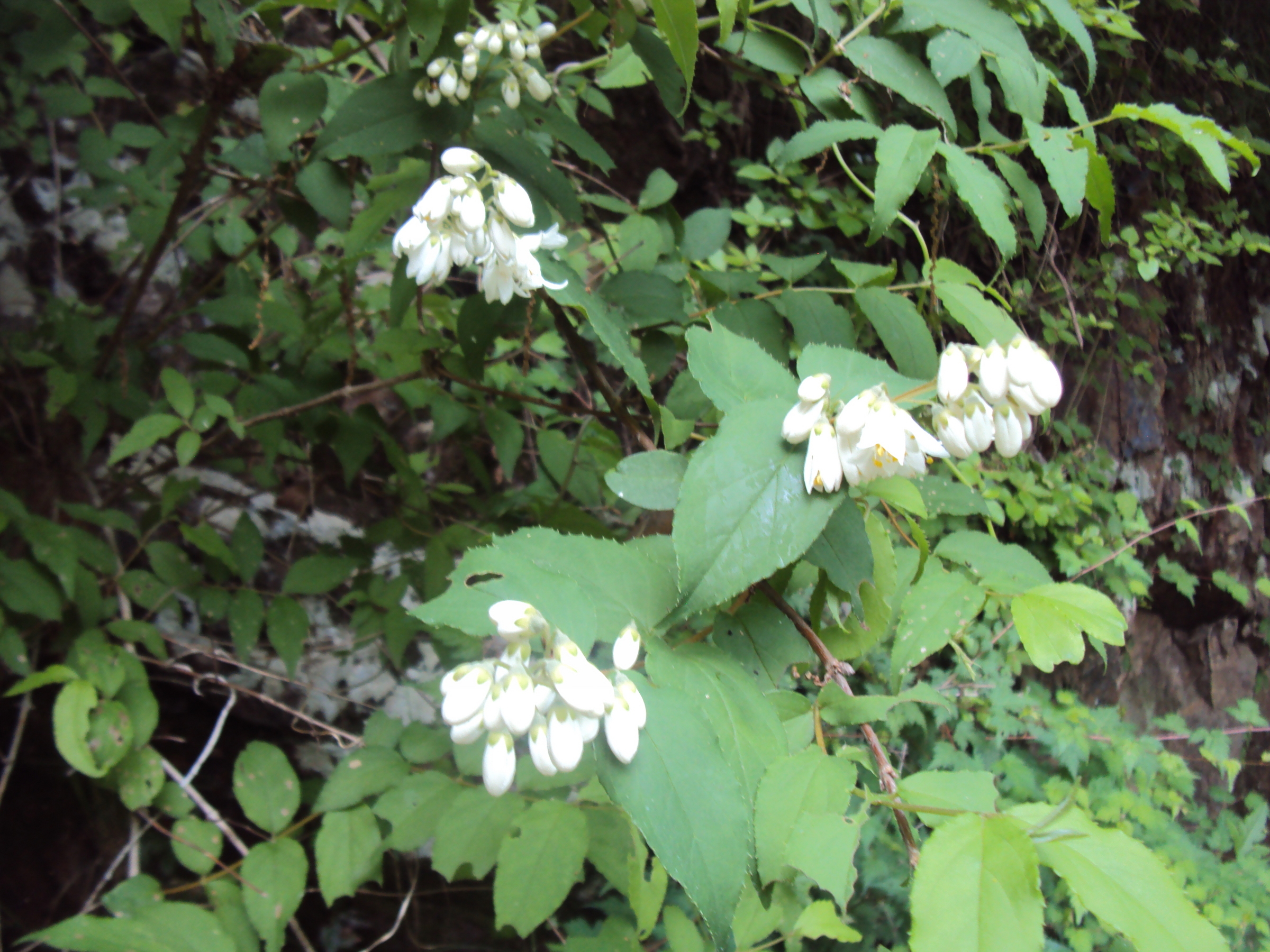 �J�ɂ����������ɂ��������E���̊X�Ȗ�