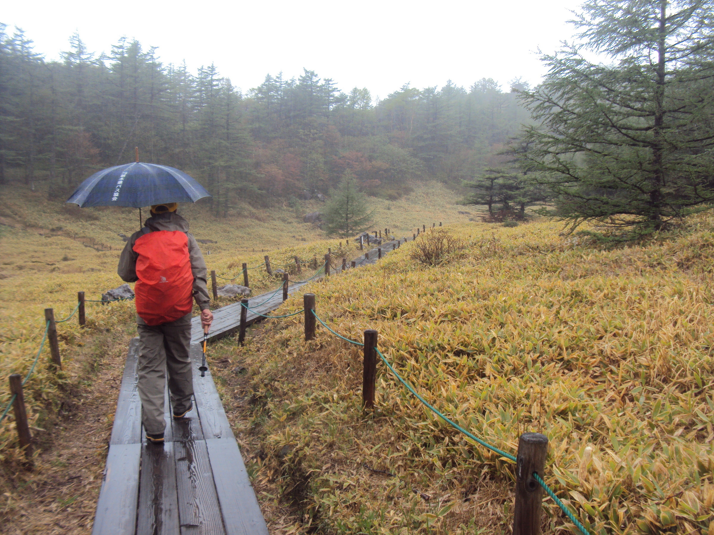 �J�ɂ����������ɂ��������E���̊X�Ȗ�