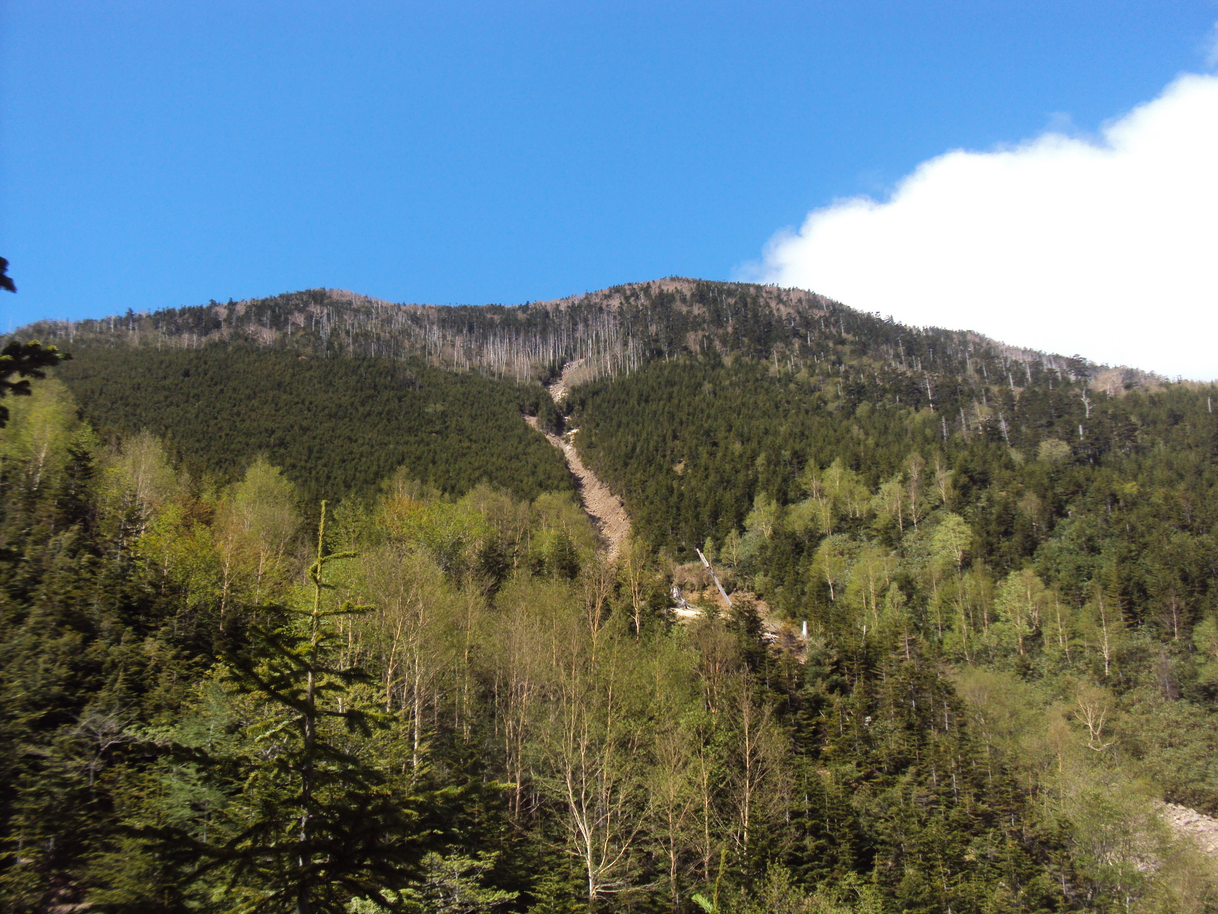 �J�ɂ����������ɂ��������E���̊X�Ȗ�