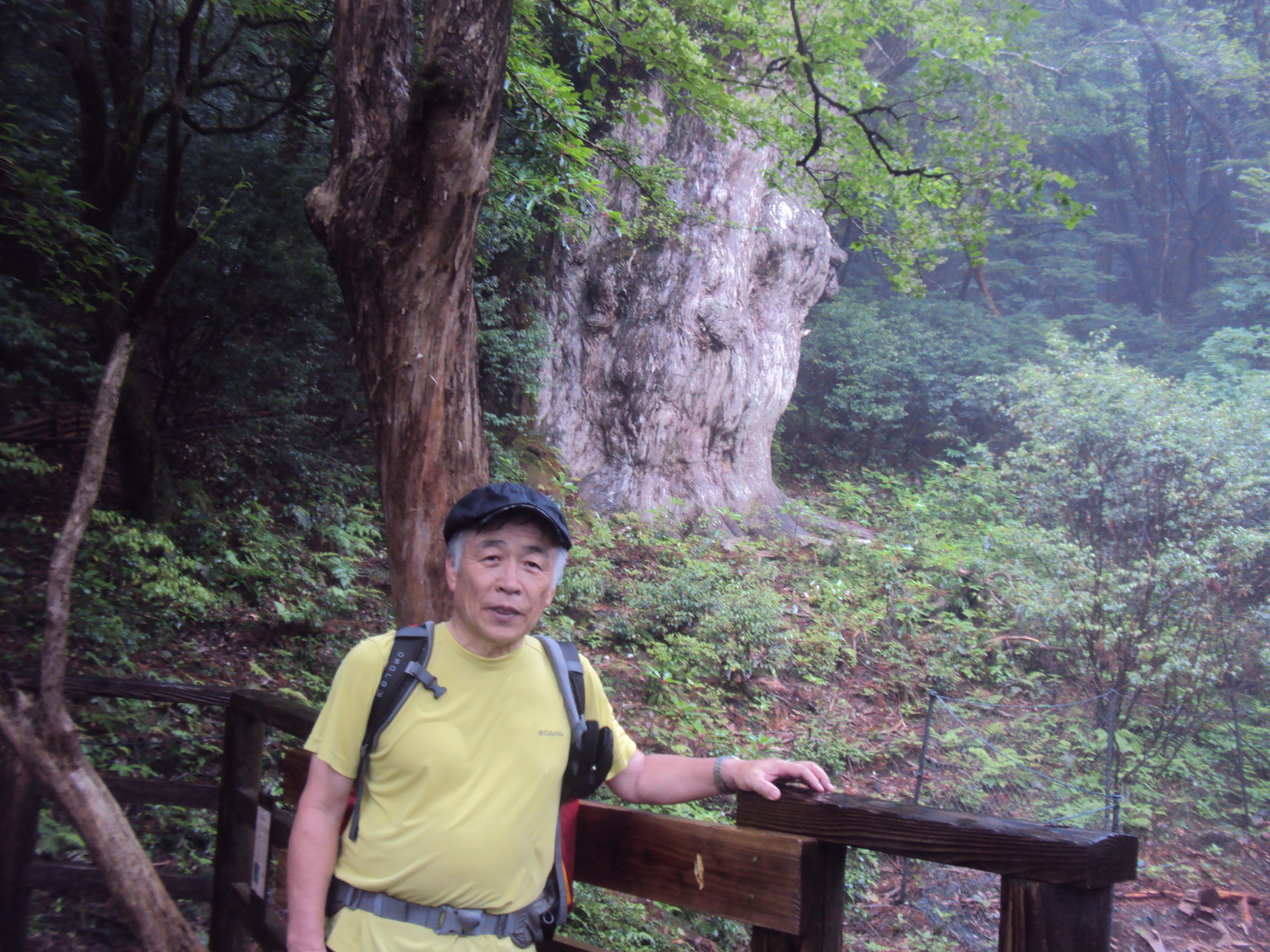 �J�ɂ����������ɂ��������E���̊X�Ȗ�