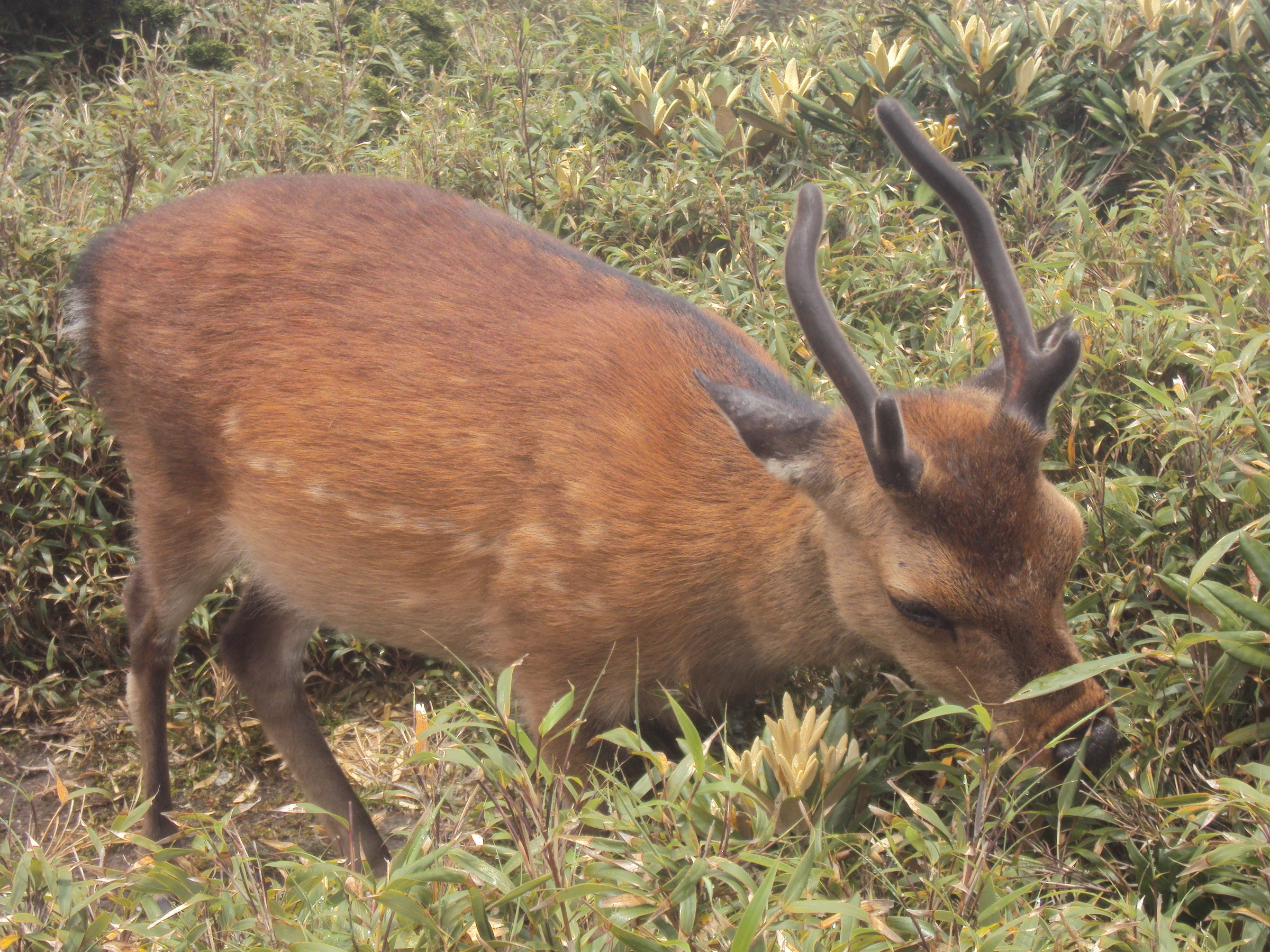 �J�ɂ����������ɂ��������E���̊X�Ȗ�