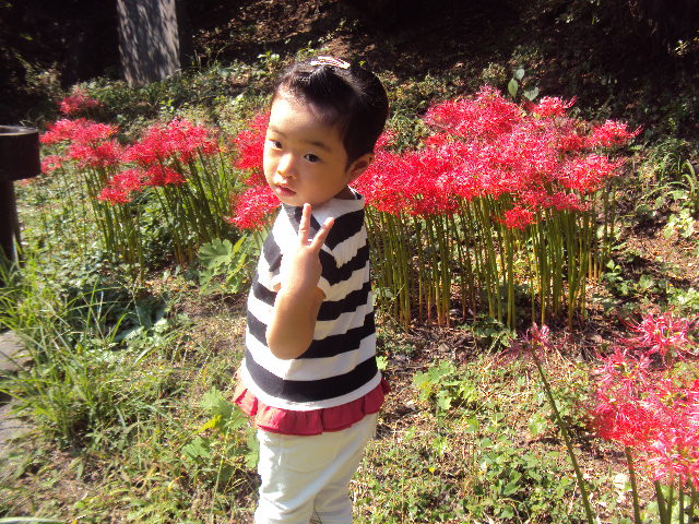 �J�ɂ����������ɂ��������E���̊X�Ȗ�