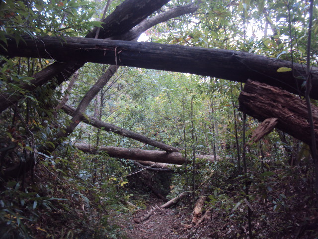 �J�ɂ����������ɂ��������E���̊X�Ȗ�