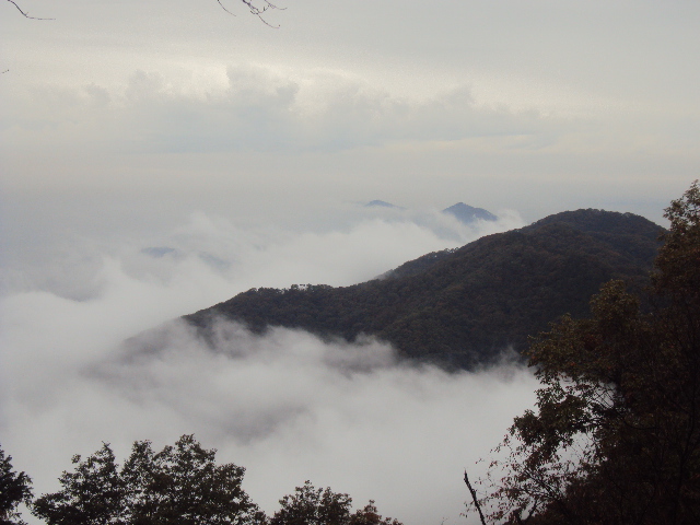 �J�ɂ����������ɂ��������E���̊X�Ȗ�