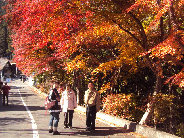 �J�ɂ����������ɂ��������E���̊X�Ȗ�