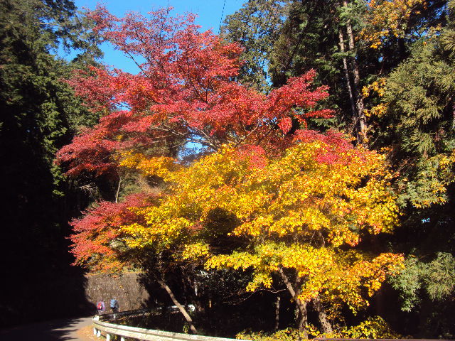 �J�ɂ����������ɂ��������E���̊X�Ȗ�