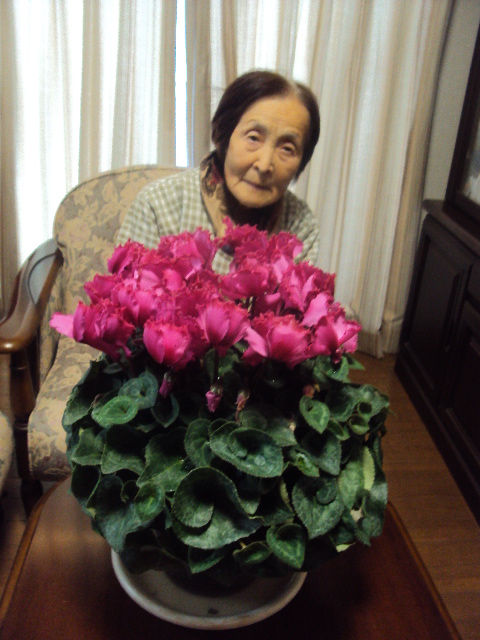 �J�ɂ����������ɂ��������E���̊X�Ȗ�