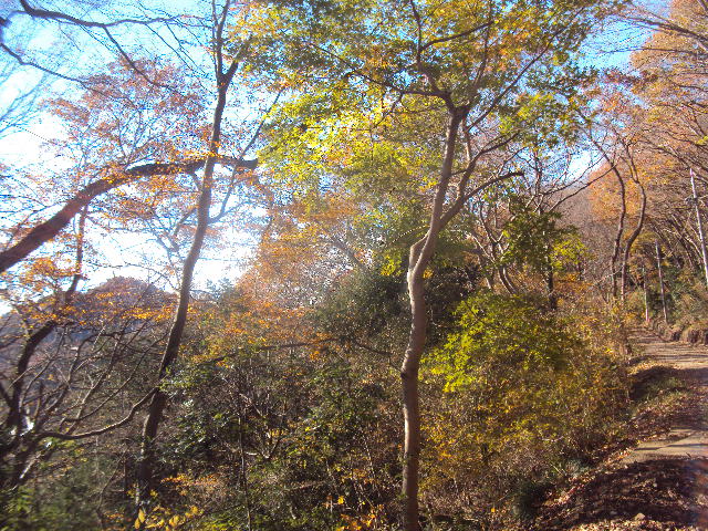 �J�ɂ����������ɂ��������E���̊X�Ȗ�