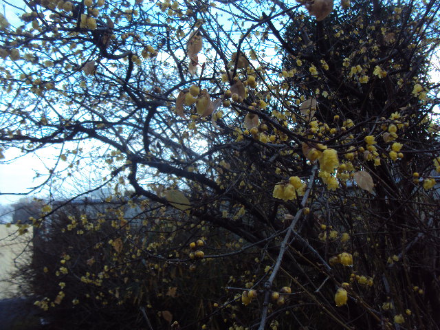 �J�ɂ����������ɂ��������E���̊X�Ȗ�