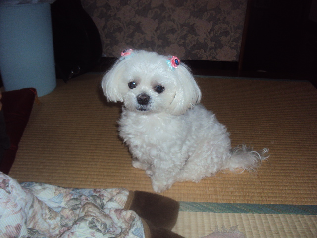 �J�ɂ����������ɂ��������E���̊X�Ȗ�