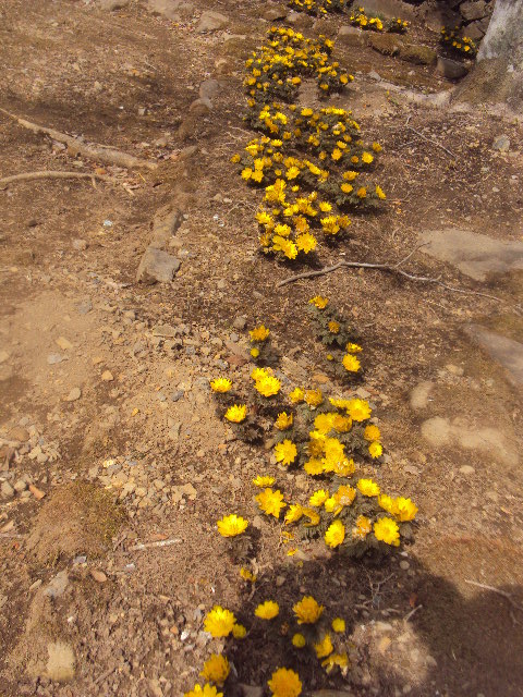 �J�ɂ����������ɂ��������E���̊X�Ȗ�