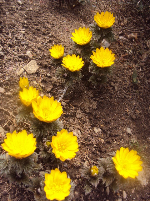 �J�ɂ����������ɂ��������E���̊X�Ȗ�